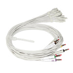 8000G Workstation System, 12 Lead Rest PC Based Portable ECG Machine